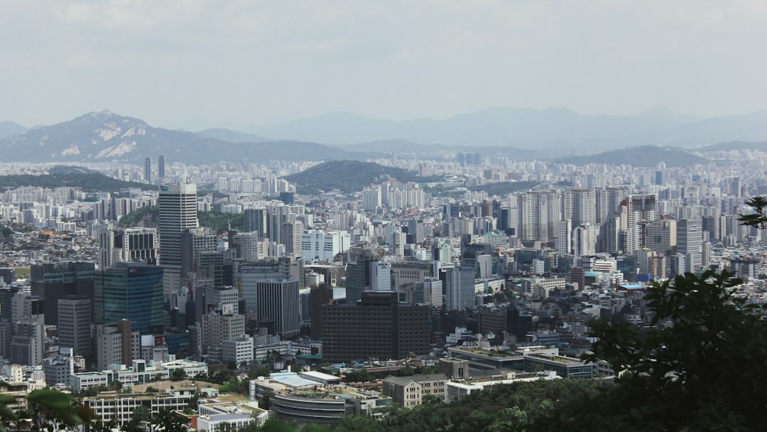 영수증리뷰 참고 이미지 2