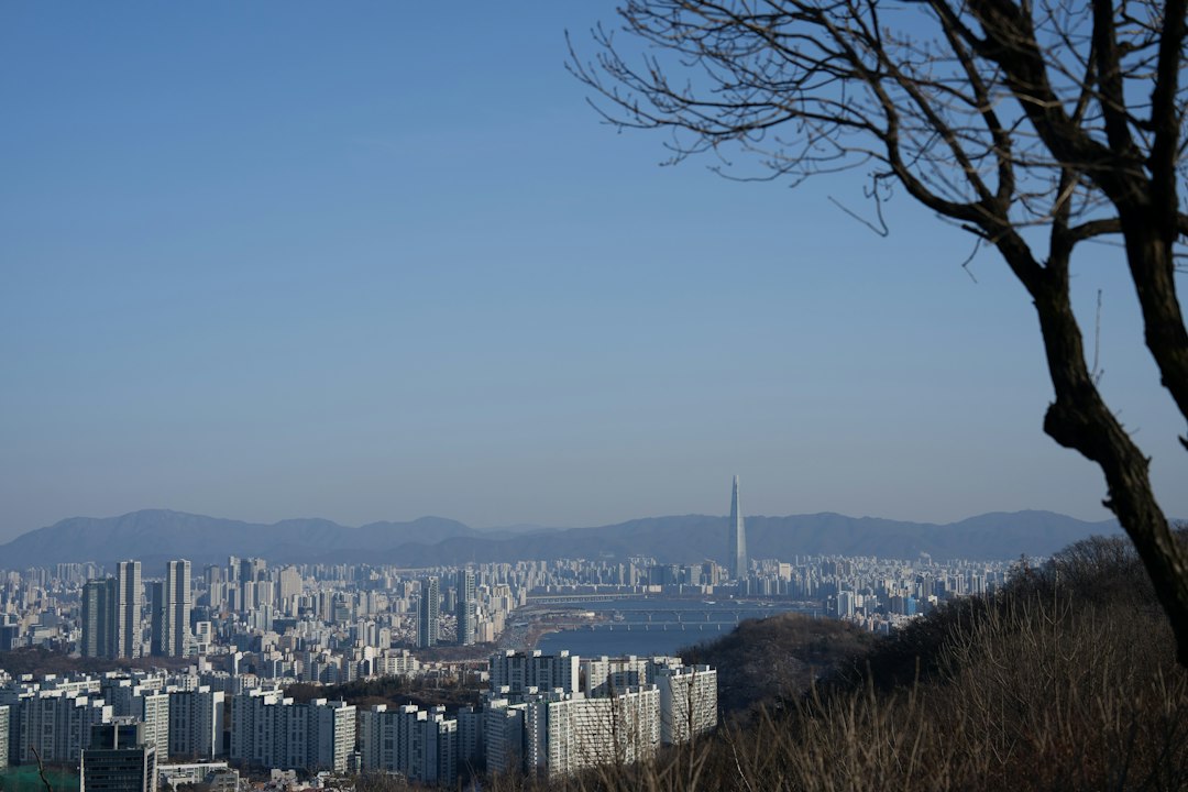 스냅리뷰 참고 이미지 2
